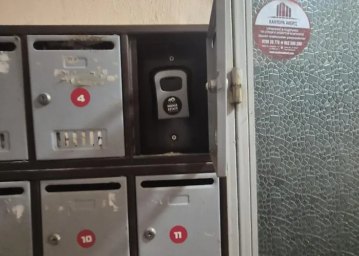 Yellow Dream Apartament Warna